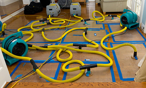 Professional Structural Drying And Dehumidification technician working in Hammond, OR